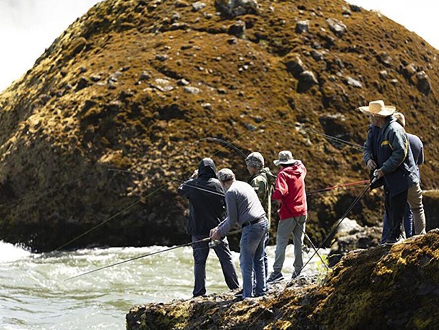 Poisonous fish advisory may expand downstream